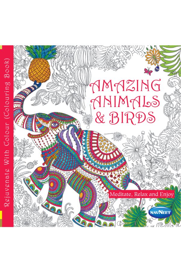 amazing animal and birds